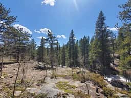 Ridgeview- Nestled in the heart of wilderness
