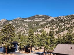 Wildflower Retreat- Close To The RMNP
