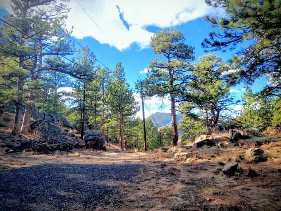 Bobcat`s Casita- Primal Serene Surroundings, Nearby: Lake Estes, 9 and 18 hole golf, Stanley Hotel!