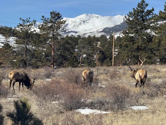 High Drive- So Close to the RMNP Entrance!