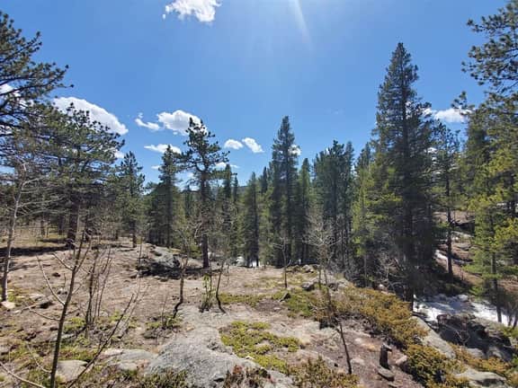 Ridgeview- Nestled in the heart of wilderness